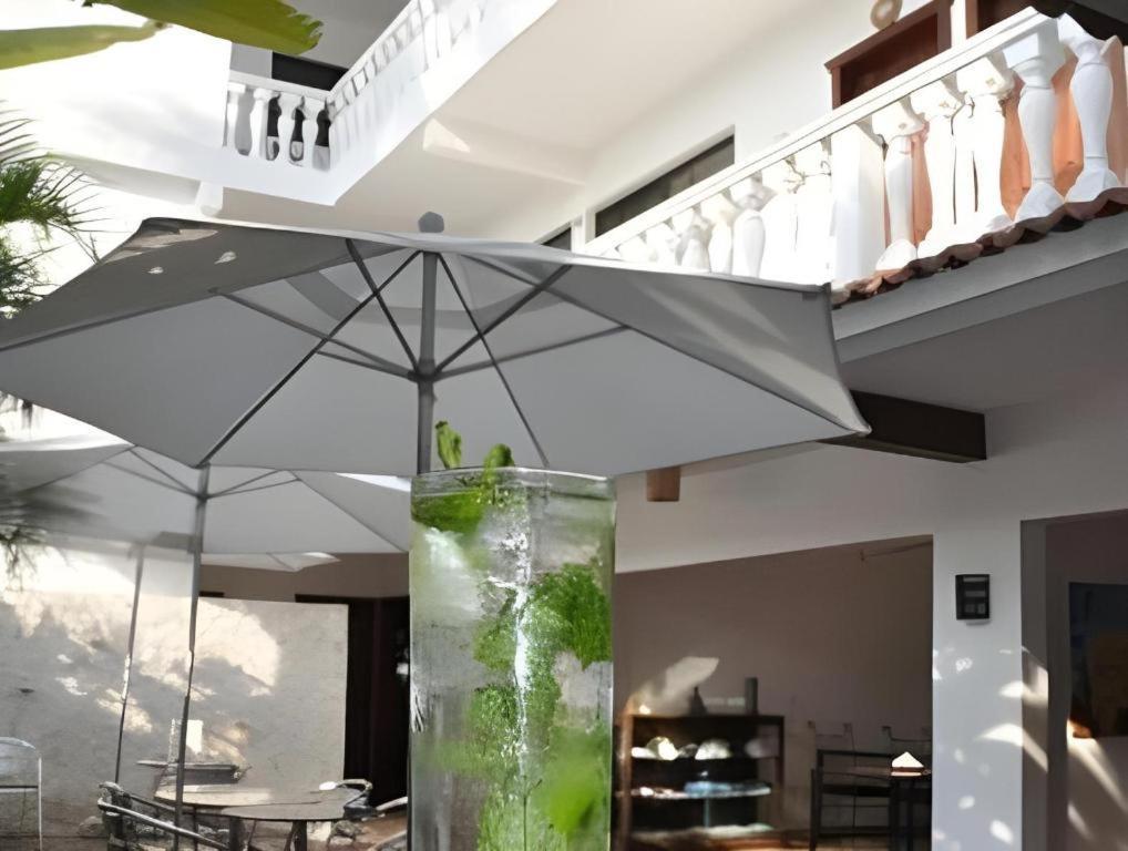 Hotel Flamingo Cozumel